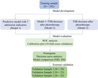 The development and validation of a predictive model for neonatal phototherapy outcome using admission indicators